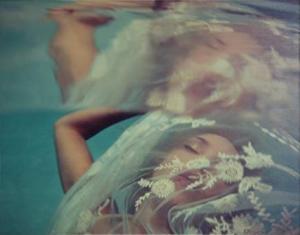 "Veiled" Underwater Photography on Wood Panel