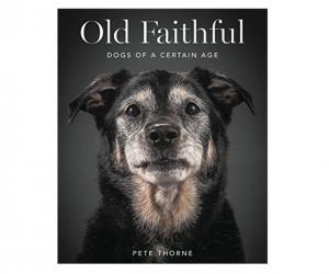 Old Faithful: Dogs of a Certain Age