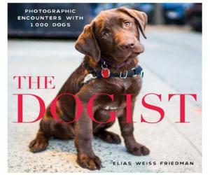 The Dogist: Photographic Encounters with 1,000 Dogs Hardcover