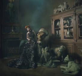 Elegant Elegy, large edition, 2/3 Photography by Miss Aniela