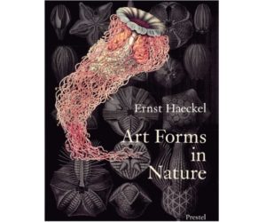 Art Forms in Nature: The Prints of Ernst Haeckel