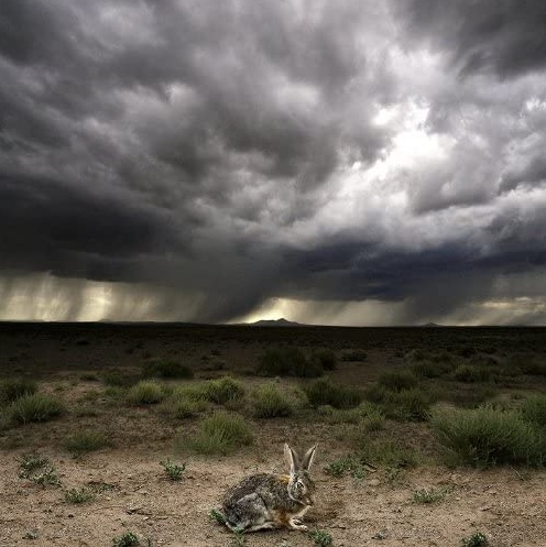 Storm Eye by Elliott McDowell