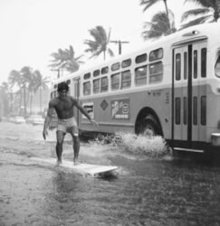 Street Surfer by Warren Roll