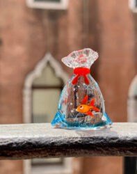 Goldfish in a Bag of Water by Umberto Ragazzi