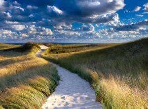 Philbin Beach Path by Katherine Gendreau